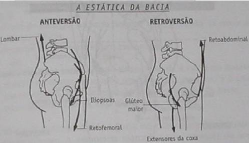 Espaço Ballet Carmem_Desequilíbrio pélvico